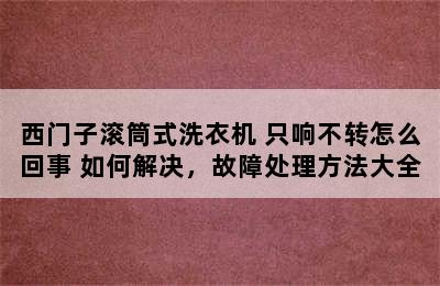 西门子滚筒式洗衣机 只响不转怎么回事 如何解决，故障处理方法大全